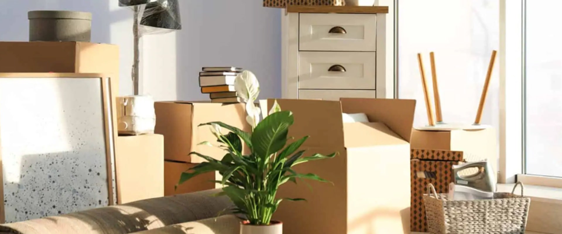 The Ultimate Guide to Amherst Movers: Tips from the Experts